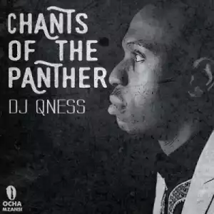 DJ Qness - Chants Of the Panther (Original Mix)